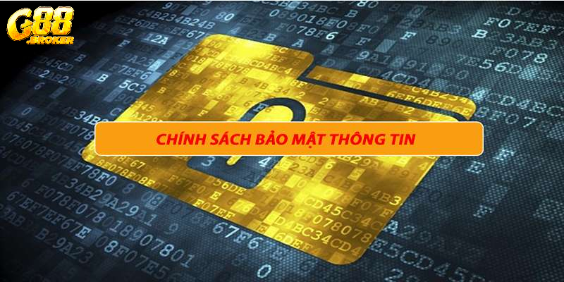 Quyền lợi và trách nhiệm người dùng về vấn đề bảo mật